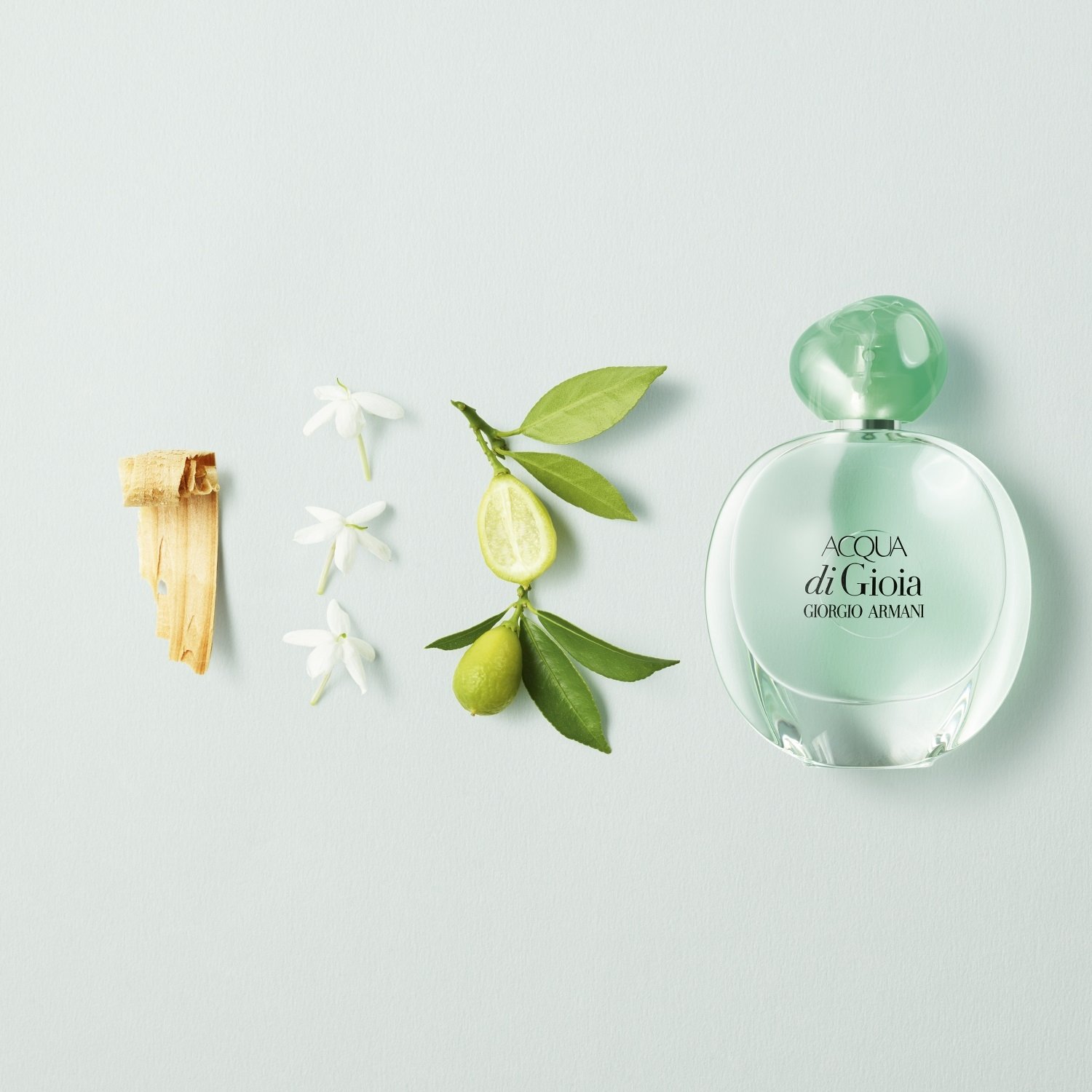 Armani Acqua di Gioia Eau de Parfum 100ml - Image 3