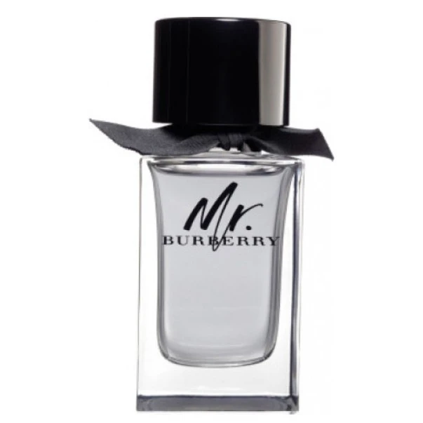 Burberry Mr EDT 100 ml