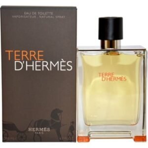 Hermes Terre D-hermes EDT 100 ml